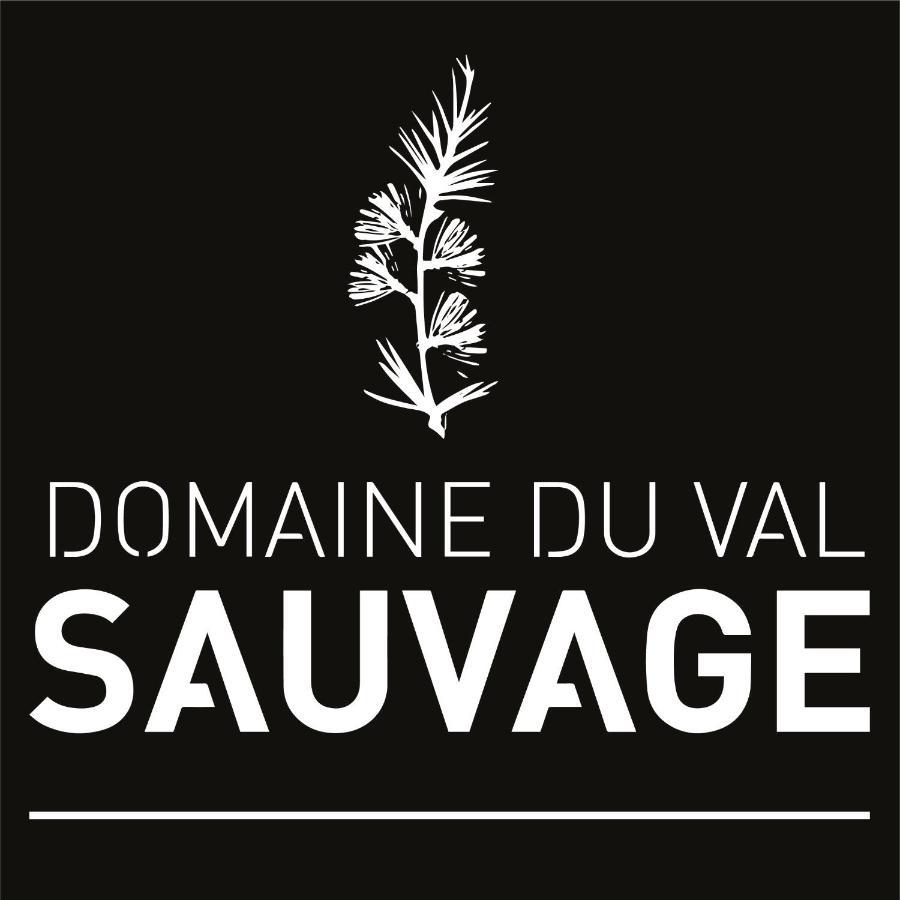 Bed and Breakfast Domaine Du Val Sauvage Langeais Exterior foto