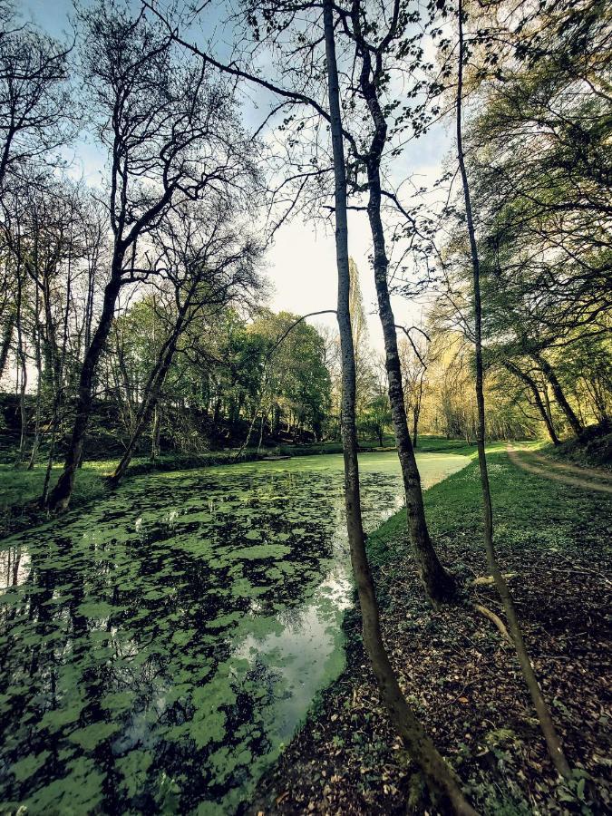 Bed and Breakfast Domaine Du Val Sauvage Langeais Exterior foto